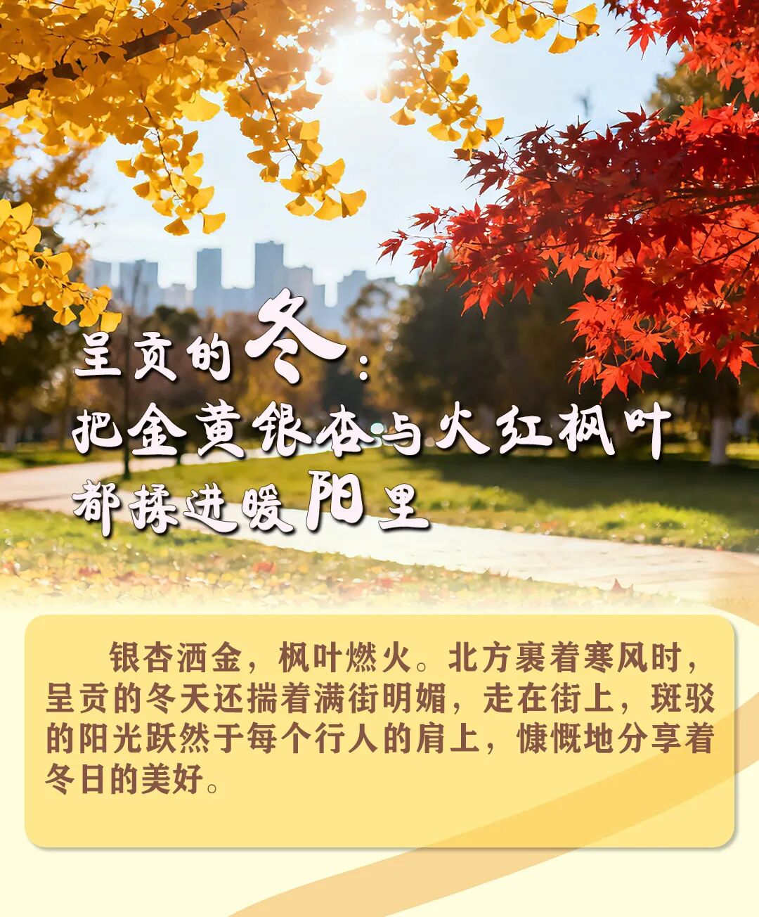 呈贡发布