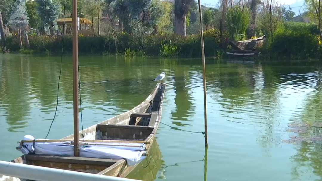 8099999街头巷尾微信