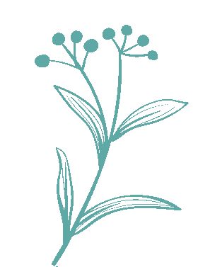 昆明西山教育体育