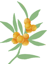 云南省中医医院