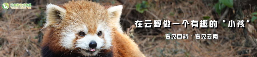 云南野生动物园