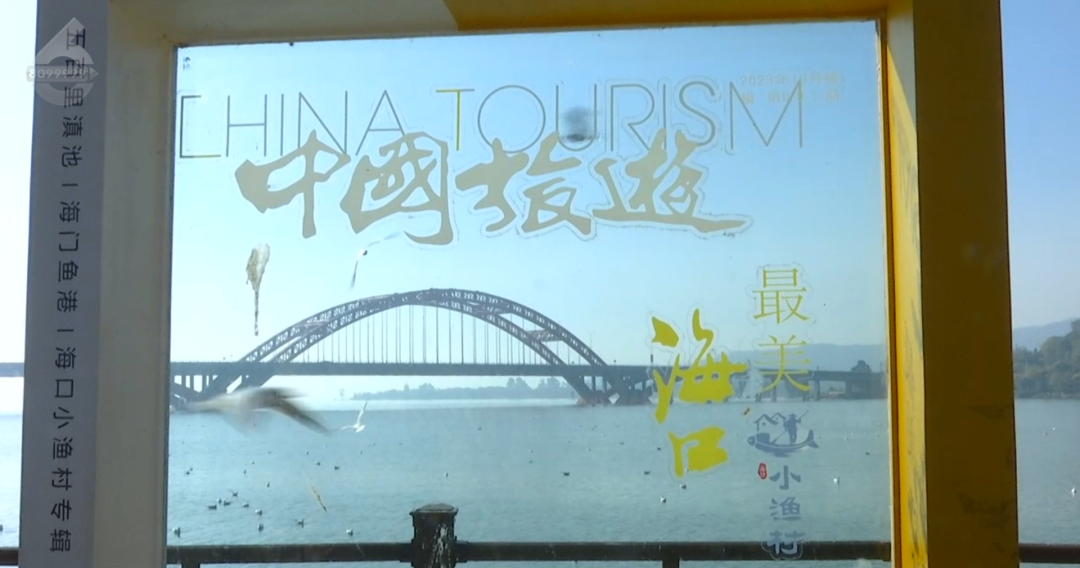 8099999街头巷尾微信