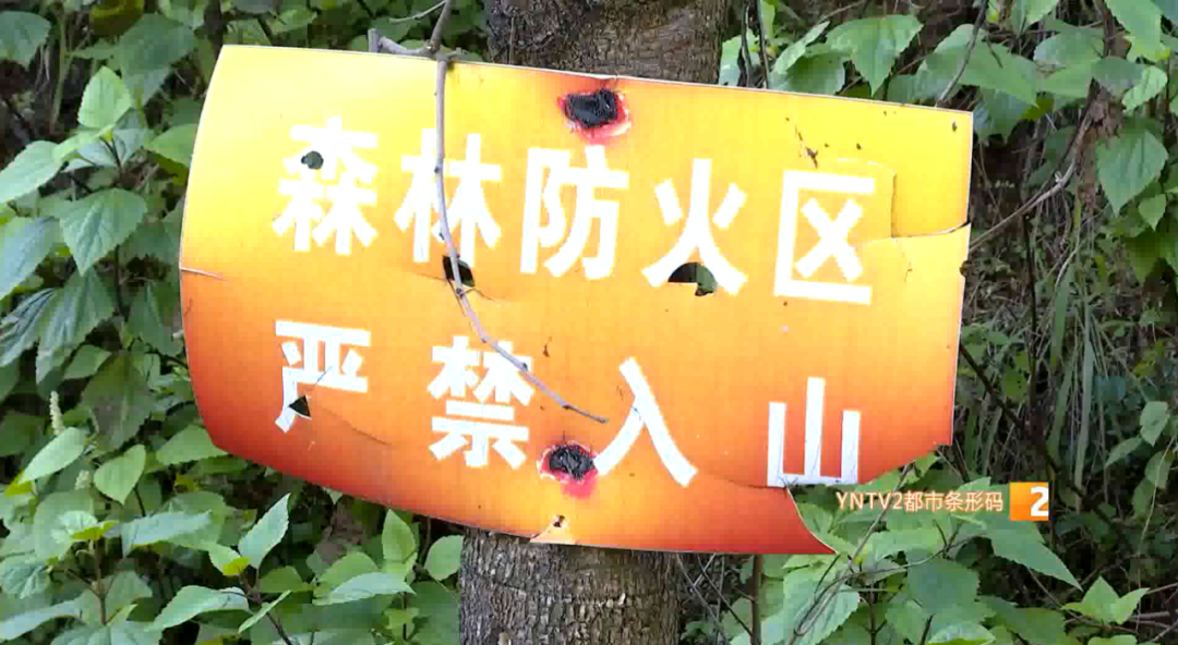 云南广播电视台