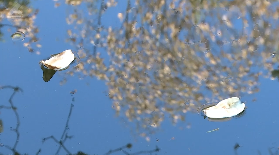 8099999街头巷尾微信