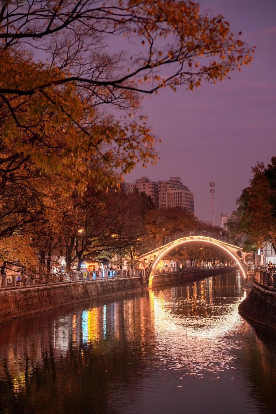 8099999街头巷尾微信