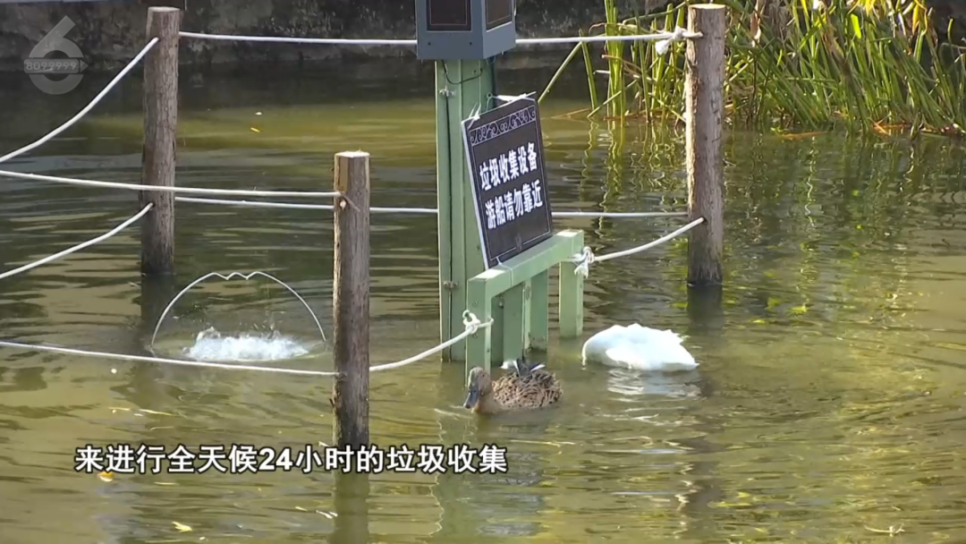 8099999街头巷尾微信