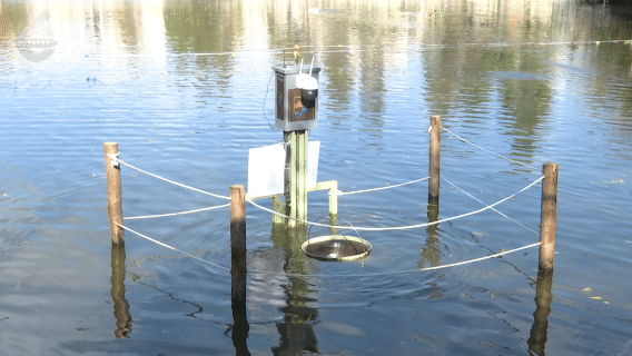 8099999街头巷尾微信