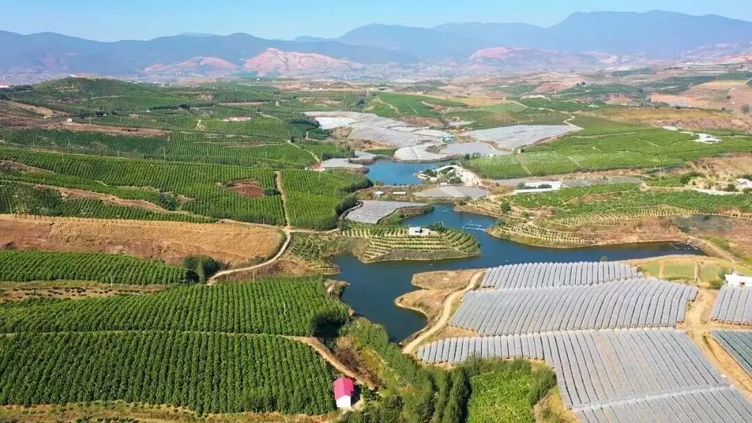 云南省人民政府