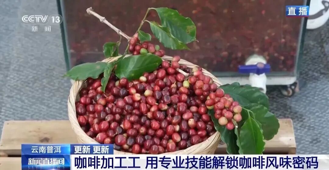 美丽云南微科普