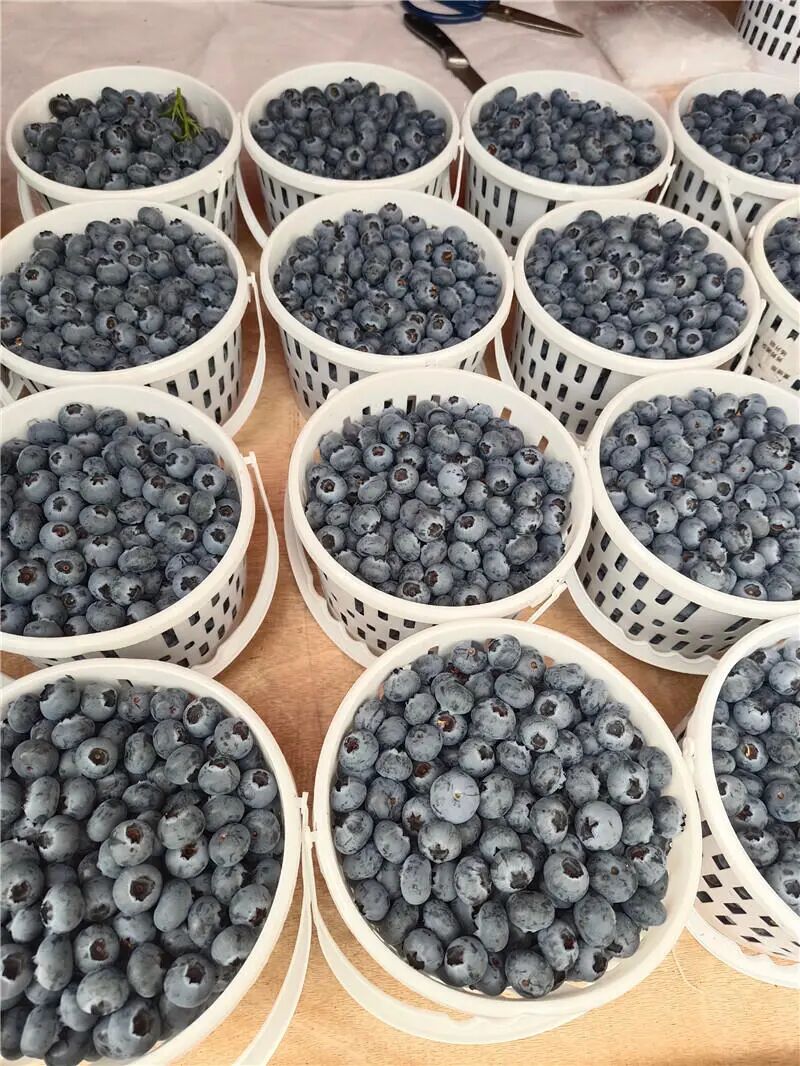 昆明广播电视台