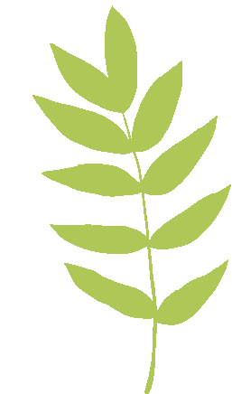 云南省中医医院