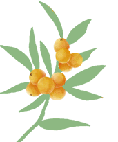 云南省中医医院