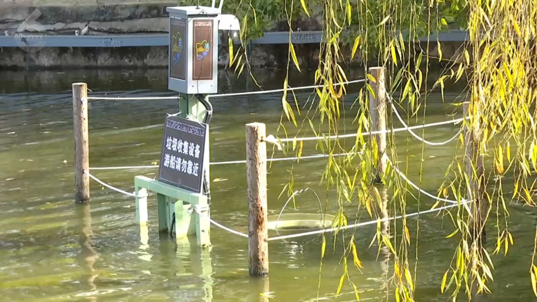 8099999街头巷尾微信