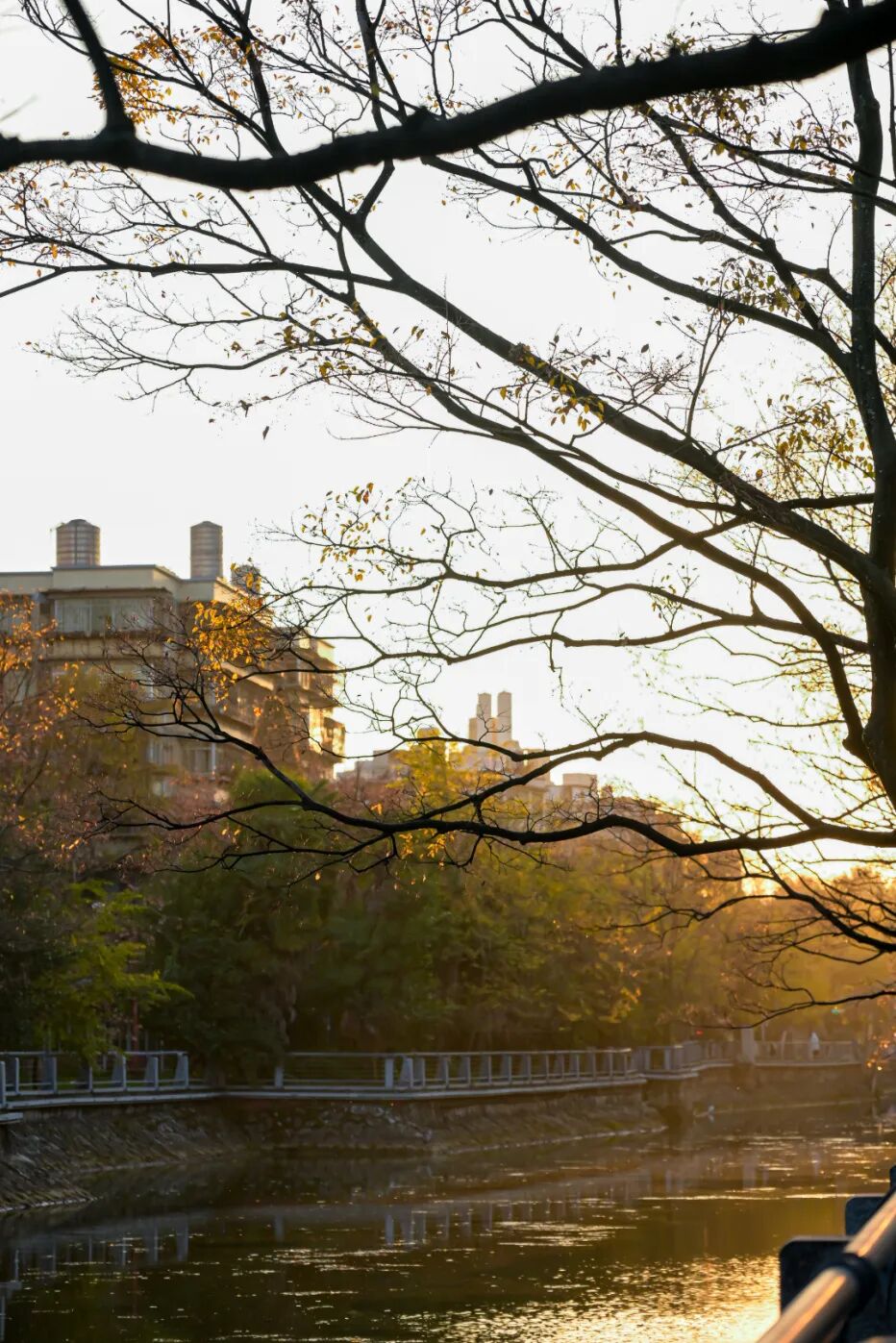 8099999街头巷尾微信