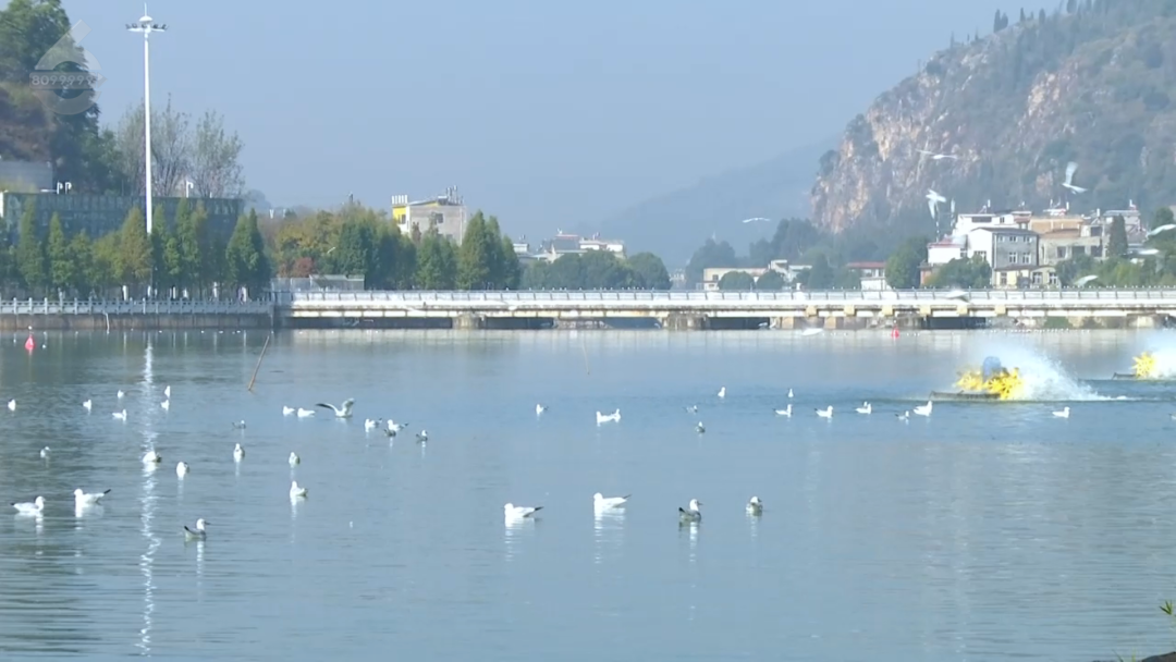 8099999街头巷尾微信