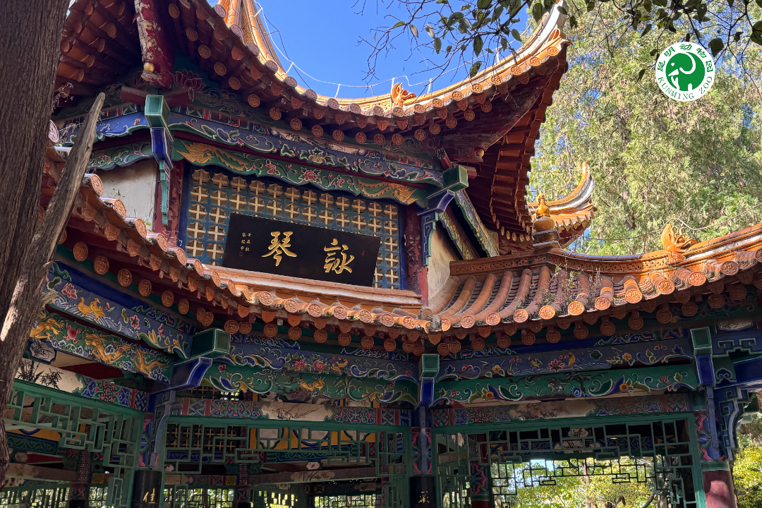 昆明动物园