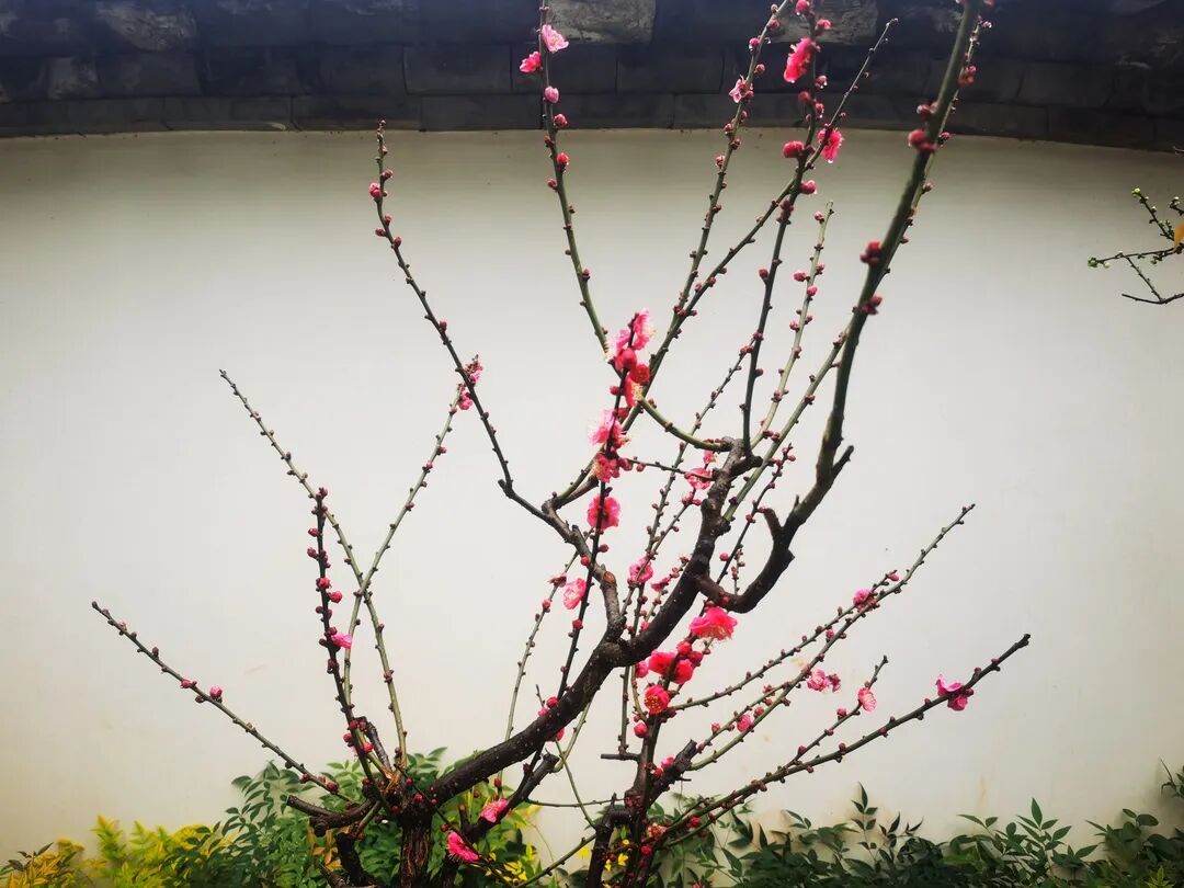 昆明市黑龙潭公园