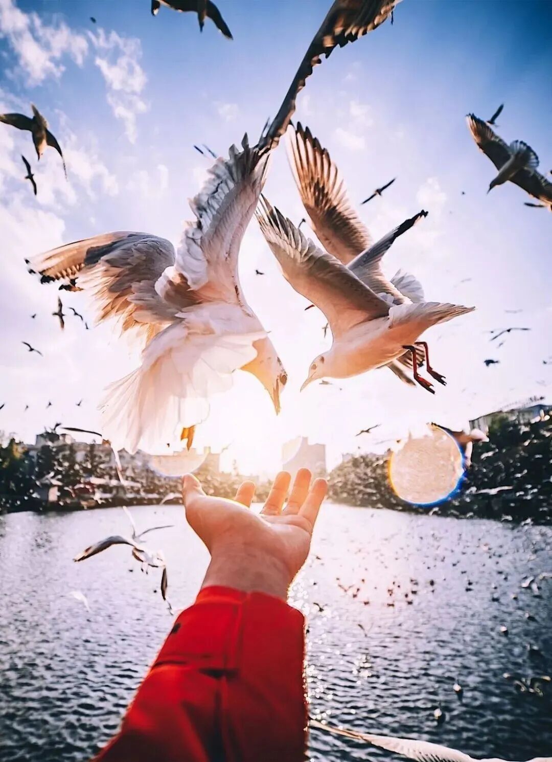 8099999街头巷尾微信