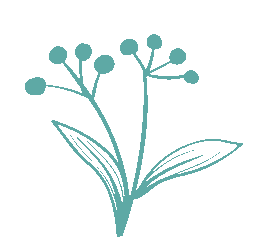 昆明西山教育体育