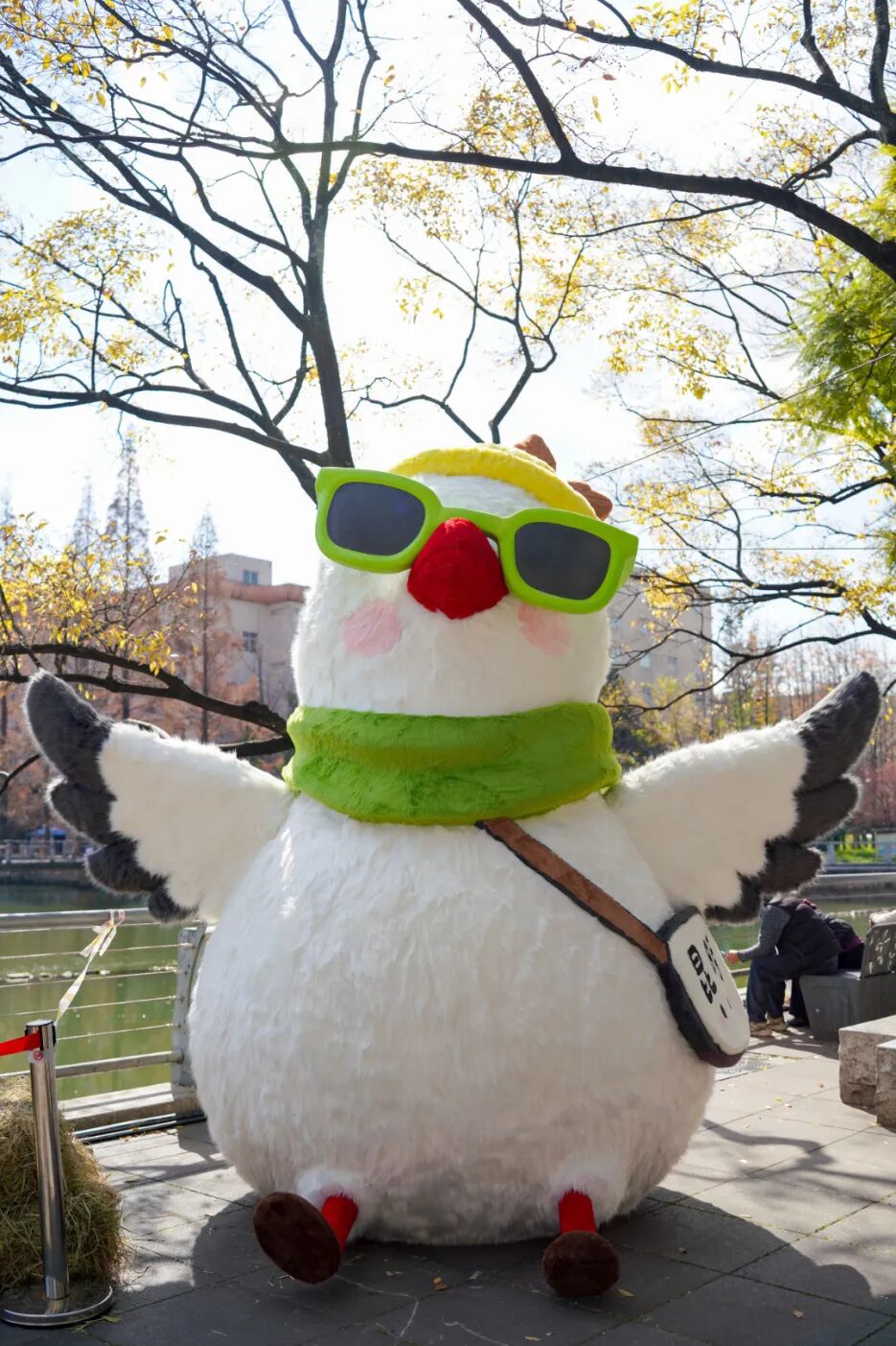 8099999街头巷尾微信