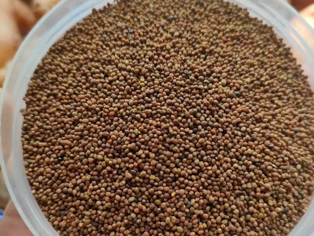 昆明市中医医院