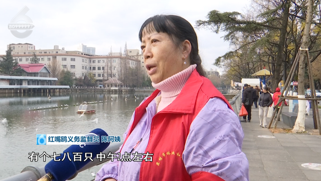 8099999街头巷尾微信