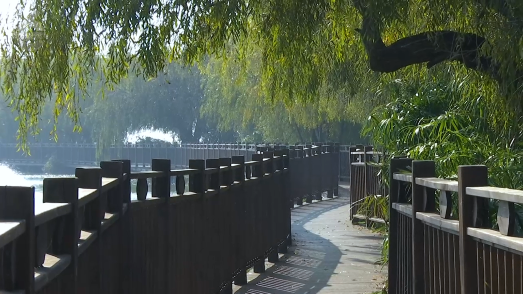 8099999街头巷尾微信