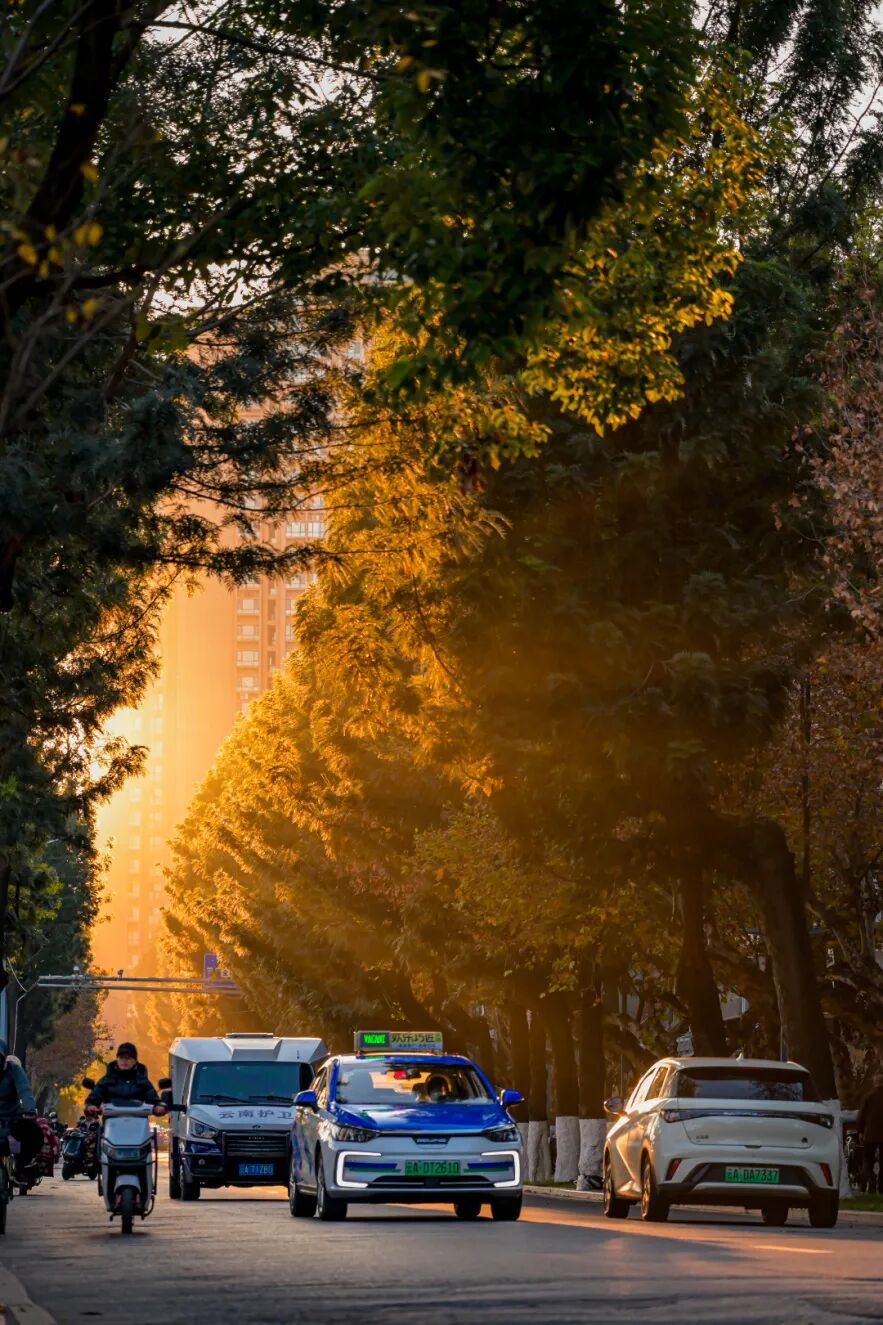 8099999街头巷尾微信