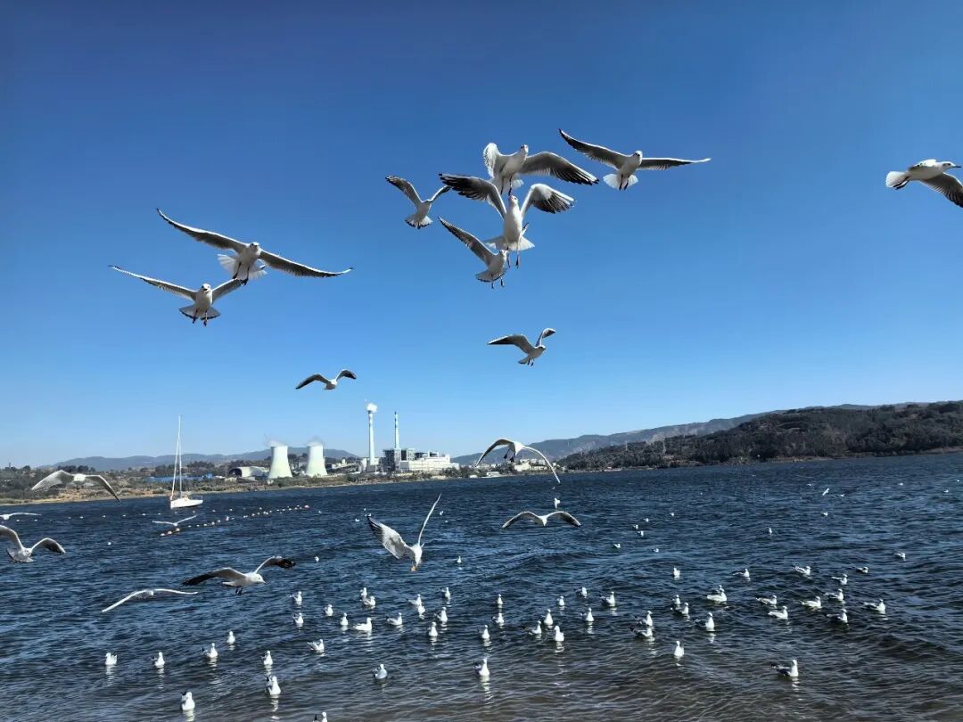 昆明阳宗海风景名胜区