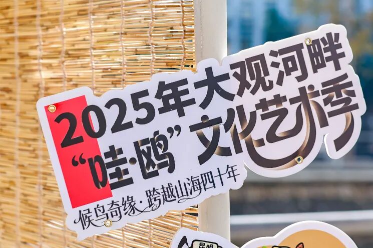 8099999街头巷尾微信