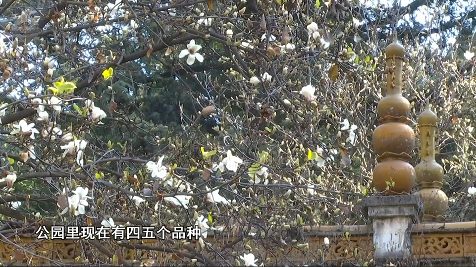 8099999街头巷尾微信