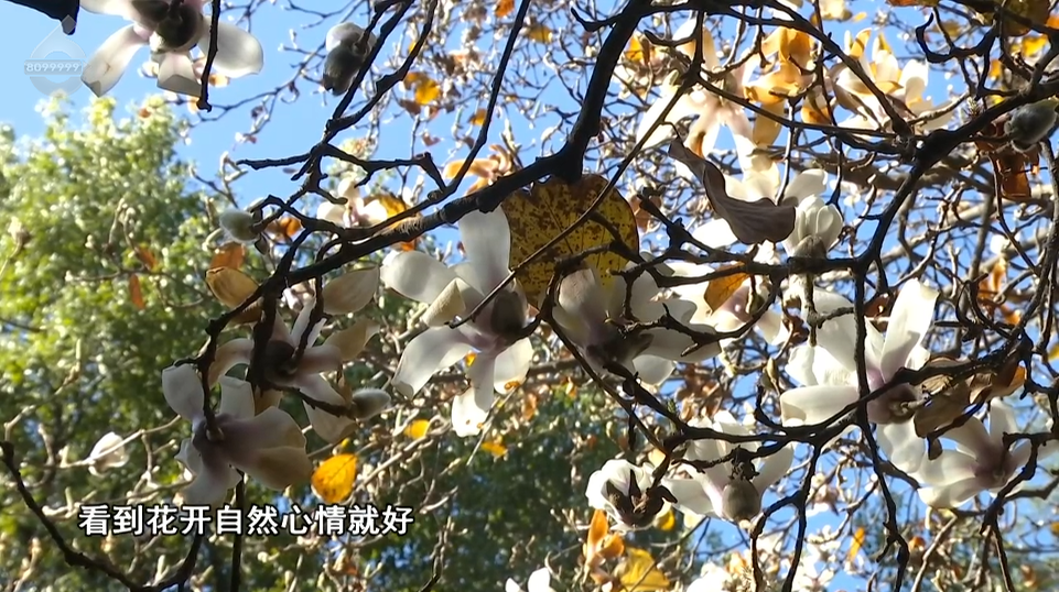 8099999街头巷尾微信