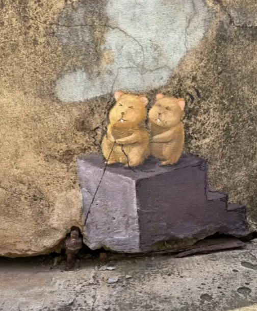 8099999街头巷尾微信