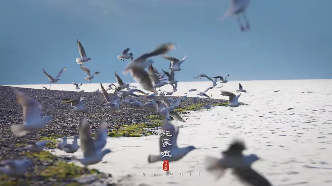 昆明阳宗海风景名胜区