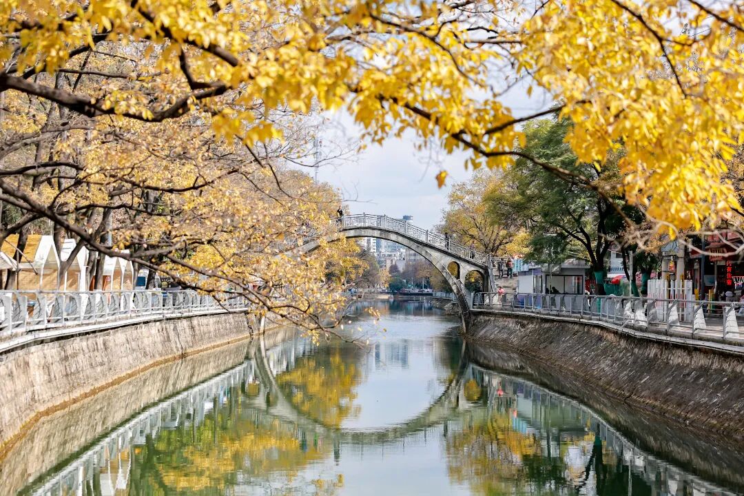 8099999街头巷尾微信