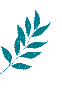 昆明市妇幼保健院