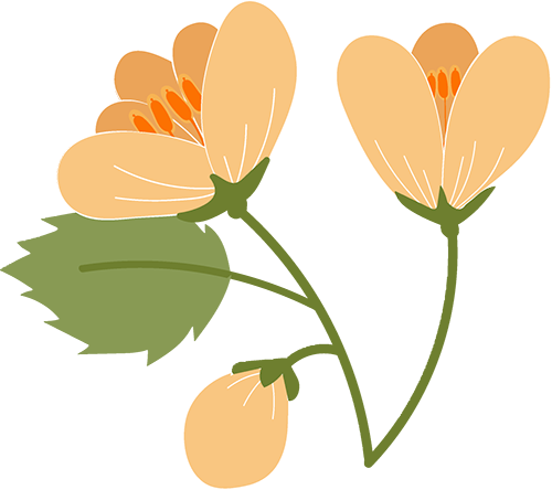 昆明市妇幼保健院