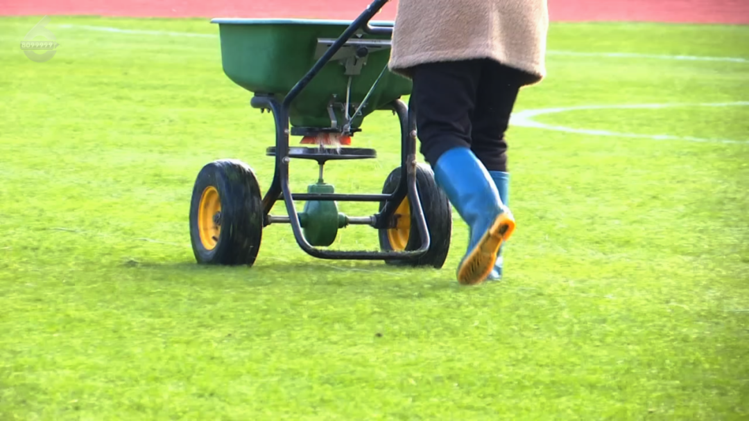 8099999街头巷尾微信