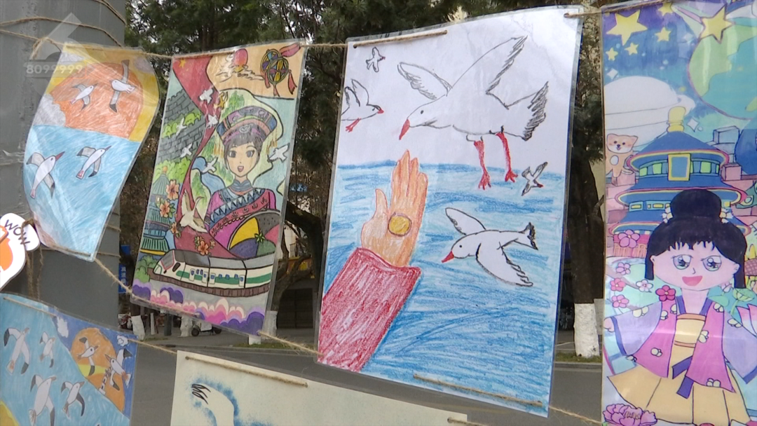 8099999街头巷尾微信