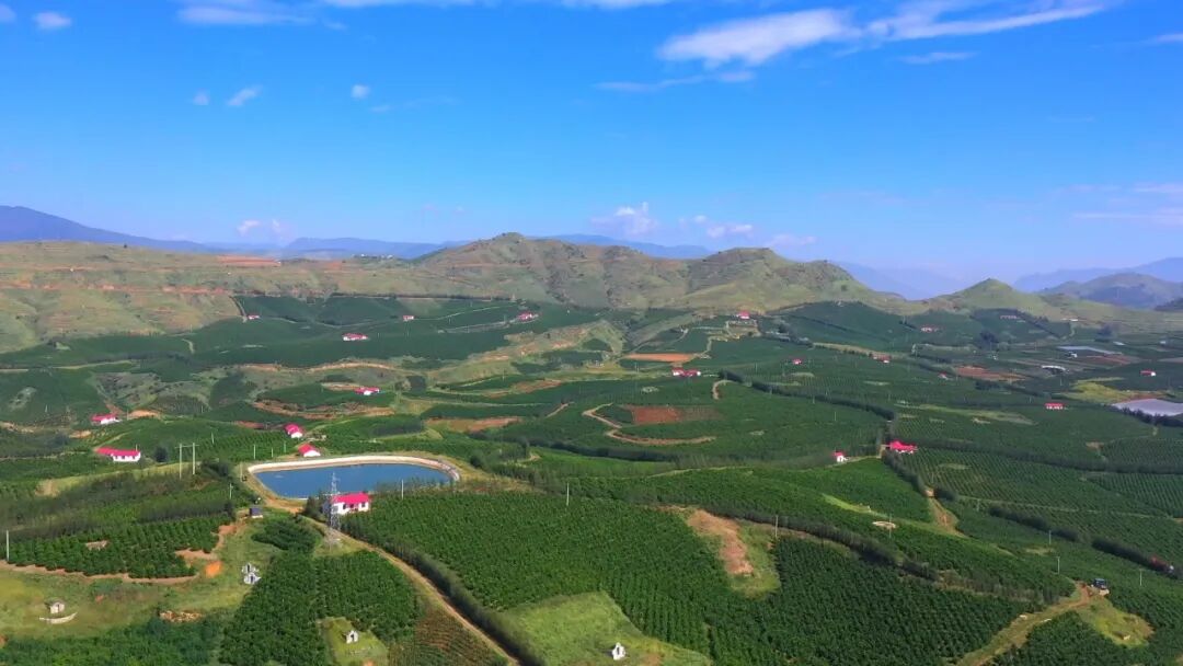 云南省人民政府