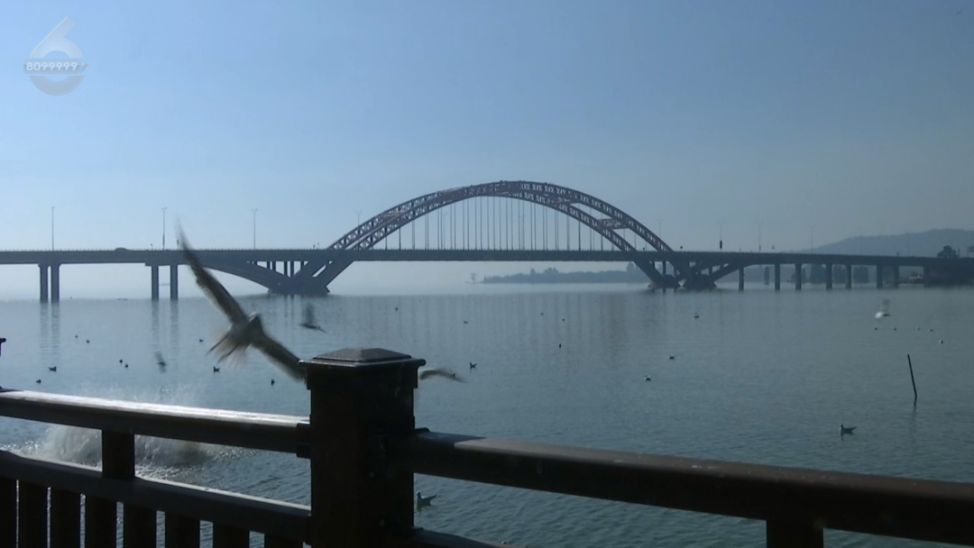 8099999街头巷尾微信