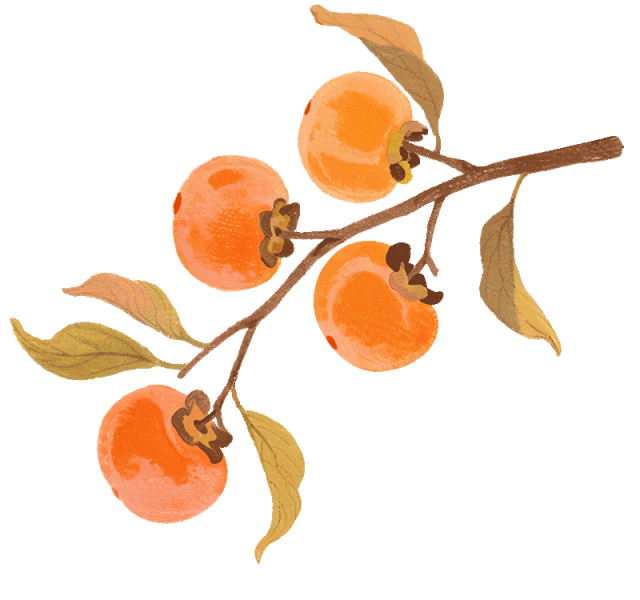 昆明广播电视台