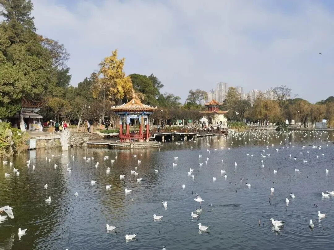 昆明广播电视台经济生活频道