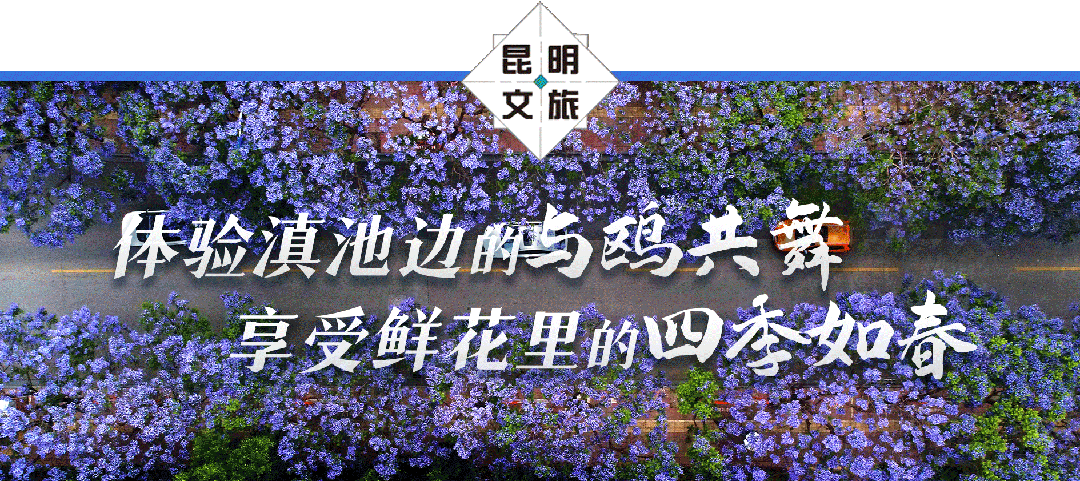 昆明广播电视台经济生活频道