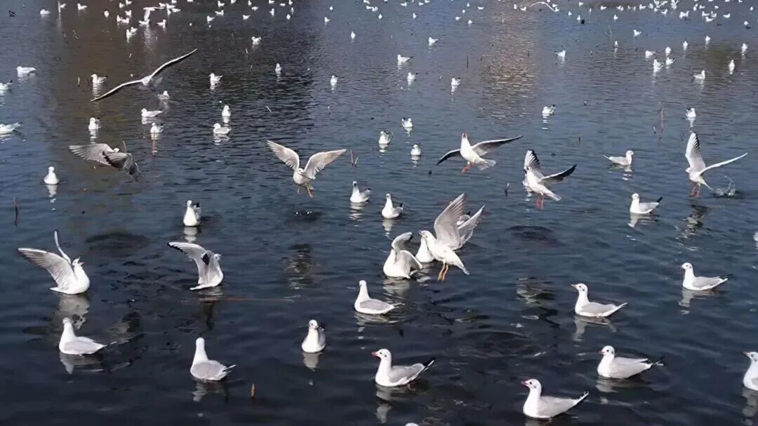 昆明广播电视台经济生活频道