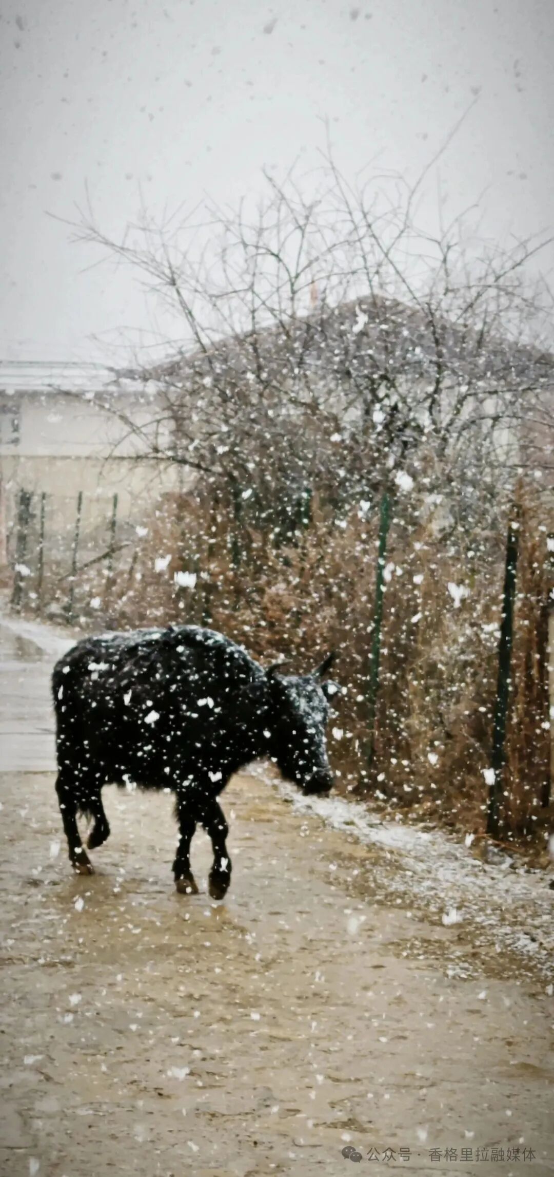 昆明广播电视台