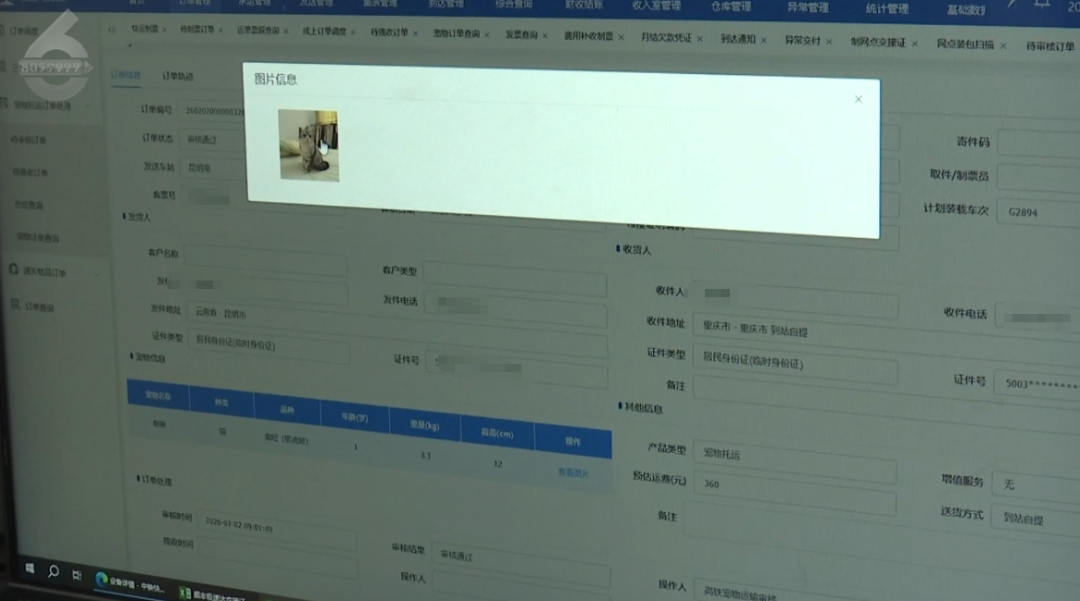 8099999街头巷尾微信