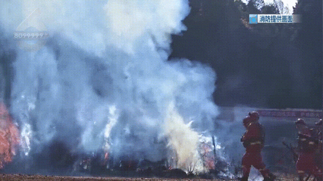 8099999街头巷尾微信