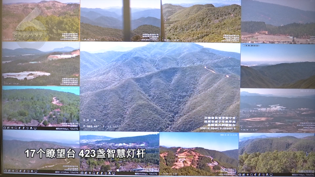 8099999街头巷尾微信