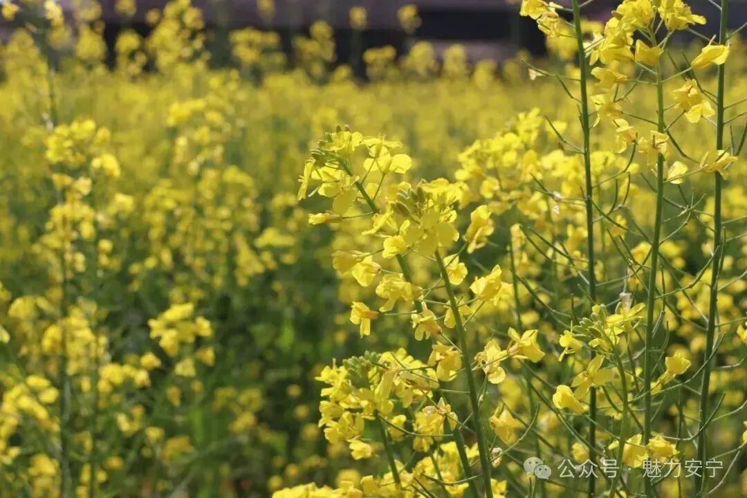 昆明广播电视台